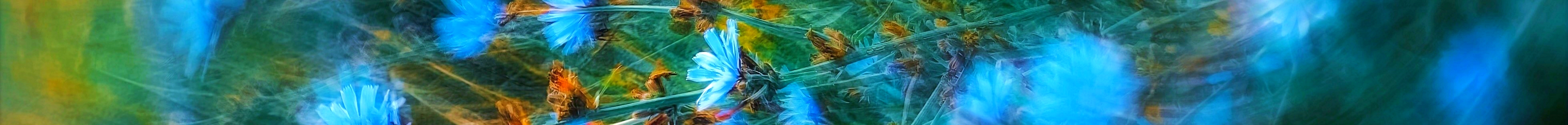 20260922120105_5811884d41bb7c6255ca.jpg